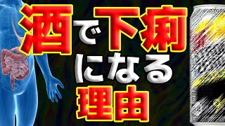 【禁酒・断酒】酒を飲むと下痢になる理由～永久保存版～