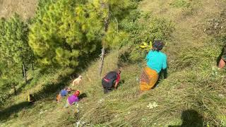 Grass cutting part2 Ghosa khani