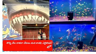 ##VIDEO1 fish exhibition in kavali udhayagiri road##beautiful fishes##like and subscribe  sumarakhi#