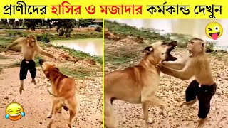 পশু পাখির মজার কর্মকান্ড 😂 | Animals Funny Video 2023| Hasir Video | Bangla Rides