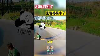 大姐对不住了，是我格局小了#shorts #交通安全 #交通安全猿 #安全駕駛