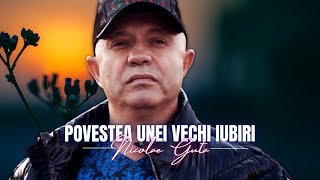 Nicolae Guta - Povestea unei vechi iubiri [Videoclip]