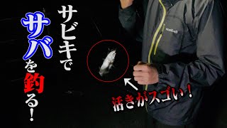 釣り初心者がサビキでサバを狙う。弾丸夜釣り釣行！【明石海峡大橋】