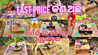 ଆମ ଗାଁ ରେ ଝିଅ ମାନଙ୍କ ମୁରୁଜ ବୁଣା 🥰😘||odiavlogs||mrsanjuvlogs