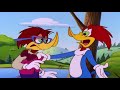 Woody Woodpecker  Holly-Woody  Woody Woodpecker Full Episodes  Kids Cartoon  Videos for Kids
