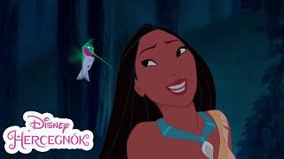 Pocahontas | Messze hív a nagy folyó | Disney Hercegnők