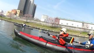 2017東京運河桜漕ぎ