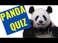 PANDA TRIVIA QUIZ - only huge Panda fans can pass this quiz