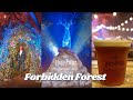 We Explored HARRY POTTER A FORBIDDEN FOREST EXPERIENCE | Full Walkthrough | Chicago, IL
