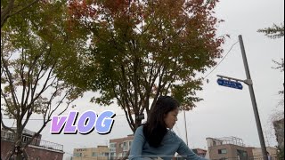 VlOG|남산산책, 텝스공부, 이케아 레르베리