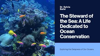 Dr. Sylvia Earle: The Steward of the Sea