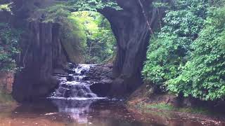 Kameiwa cave 亀岩の洞窟