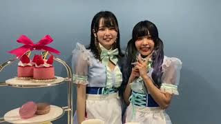 【ポケパラ】Cafe\u0026Bar Maison des Mermaid (メゾンドマーメイド) [八王子/コンカフェ] - 求人動画