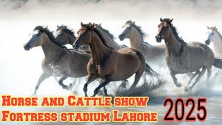 Lahore Horse and Cattle show 2025 | Fortress stadium Lahore | 8th ,9th Feb.2025 |