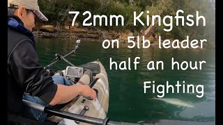 ISO Rock Fishing | Sydney Middle Harbour | Bream | Kingfish | Kayak Fishing