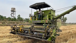 ਕਿਵੇਂ ਰਿਹਾ ਕਣਕ ਦਾ ਝਾੜ ?॥#agriculture #trending #punjab #viralvideo #vlog