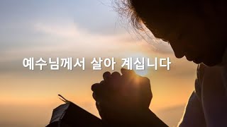 마태오 16,13-19 예수님께서 살아 계십니다