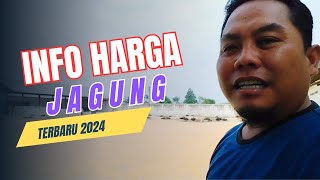 INFO HARGA JAGUNG HARI INI