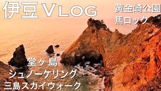 伊豆をVlog旅＆ドローン撮影が絶景すぎた！！【堂ヶ島・黄金崎公園・三島スカイウォーク・シュノーケリングスポット情報】　～～Go To Travel～～