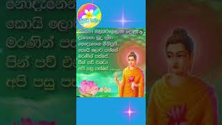 බුද්ධ නදිය - Buddha Nadiya - සිත නිවන බුදු වදන් - Episode4