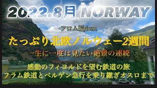 たっぷり北欧ノルウェー2週間の旅フロム編世界一美しい路線ベルゲン急行フロム鉄道を乗り継ぎ絶景の街フロムへ#鉄道#北欧 #海#ノルウェー #flam#norway #海外旅行 #山 #アラ還#夏休み旅