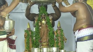 Kanchi Varadarajan - Brahmothsavam 2022 - Day 07 - Evening Thirumanjanam after Thiruther_50m 28s