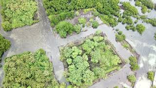 Drone (Aerial) video of the famous Nan Madol in the island garden of Pohnpei (Ponape) State, FSM