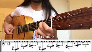 Some of The Flamenco Guitar techniques