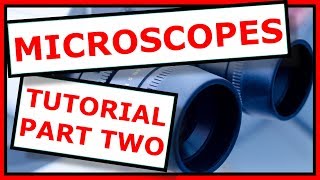Step-byStep guide on how to use a Microscope like a Pro with Dr. O'Neill Round Two