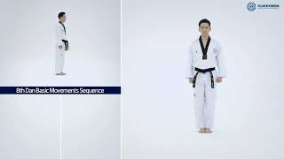 8th Dan Basic Movements (Sequence)