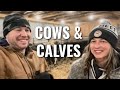 Ep 16 - Winter Calving