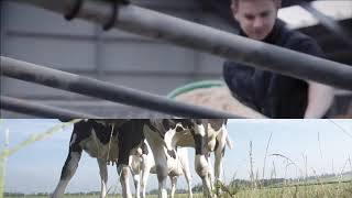 Sustainable Dairy Farming  Carbon Net Zero 2050