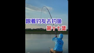 在鲤鱼泛滥的河里面钓鲢鳙是种什么体验 #九月钓鱼必备攻略来了