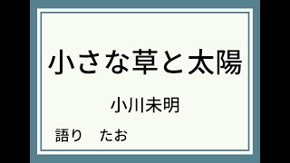 【朗読】小さな草と太陽【小川未明】