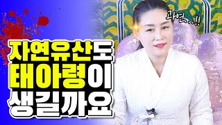 자연유산도 태아령이 생기나요 태아령이란 무엇일까?│ 태아령이 꼭 엄마한테만 붙나요? 아이를 위한 잔치를 하라?!