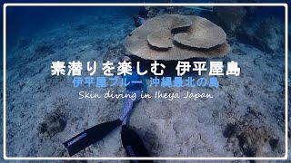 スキンダイビング 伊平屋島 - 27