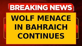 Breaking News: 3-Year-Old Girl Killed By Man-Eater Wolf In Bahraich; 2 Women Injured