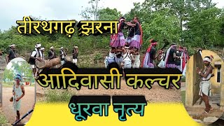 आदिवासी धुरवा कल्चरल नृत्य// Bastar Tribal Dance,#Bastariya# MD# BABU #Chhindawada# nach# party