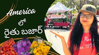 America రైతు బజార్ | A Day at the Farmers Market 🥕🍅🥒 |  Telugu Vlog | #usavlogs