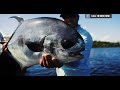 fly fishing belize massive permit at turneffe flats lodge