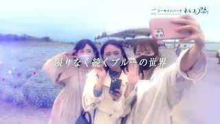 ネモフィラ祭り2023 TVCM