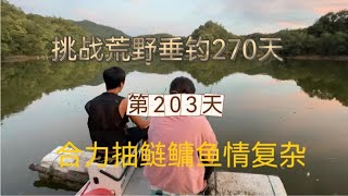 連續野釣第203天 先守大魚 再抽鰱鱅 最後還是有所收獲