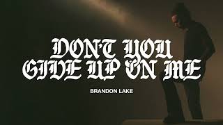Brandon Lake - Don't You Give Up On Me (Official Audio Video)
