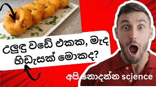 ඔබ එදිනෙදා දකින දේවල් ඇත්තම විද්‍යාත්මක තේරුම /Reasons Behind Everyday Things/Wishma Lokaya/Sinhala