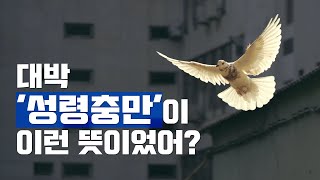 대박 '성령 충만'이 이런 뜻이었어?