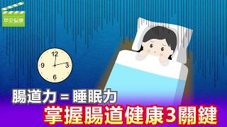 腸道力＝睡眠力，掌握腸道健康三關鍵【早安健康】