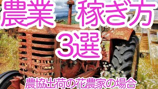 【農業】農業の稼ぎ方3選/農協出荷の花農家の場合【花農家】