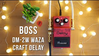 Boss DM-2W Waza Craft Analog Delay (Stereo)