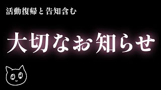 【 重大告知 】みなさんに大切なおしらせ【 配信復帰 / 雑談配信 】