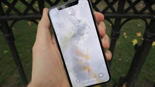 The best and worst features of the new iPhone X